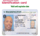 Washington State ID Adult